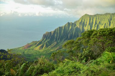 Hawaii Adaları 'ndaki Kauai' deki (Bahçe Adası) eşsiz ve nefes kesici Napali uçurumları.