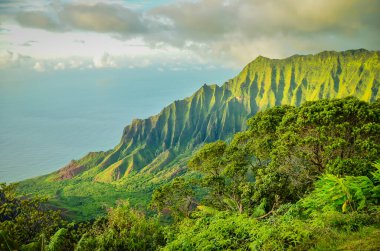 Hawaii Adaları 'ndaki Kauai' deki (Bahçe Adası) eşsiz ve nefes kesici Napali uçurumları.