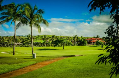 Hawaii Adaları 'ndaki Kauai adasında golf sahası..