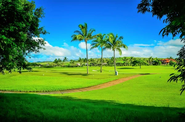 Golf course on island of Kauai, Hawaiian Islands.