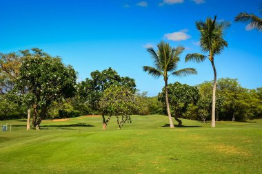Hawaii, Maui adasında Haleakala Dağı manzaralı güzel ve manzaralı bir golf sahası.