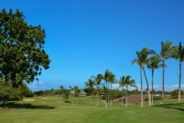 Hawaii, Maui adasında Haleakala Dağı manzaralı güzel ve manzaralı bir golf sahası.