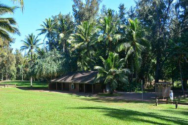 DT Fleming Sahili, Maui 'nin kuzeybatısındaki Kapalua bölgesinde. Güzel kumlu sahil, yumuşak dalgalar ve mükemmel yüzme. Suyun karşısındaki Molokai manzarası, gölgeli park, tuvaletler ve piknik masaları. Ayrıca bir sahil lokantası ve bar..