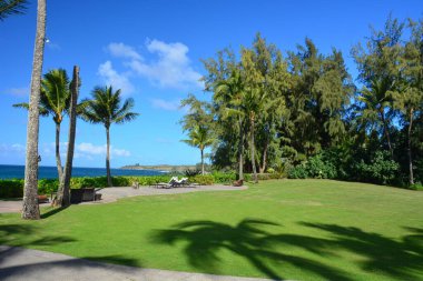 DT Fleming Beach in the Kapalua area of northwest Maui. Beautiful sandy beach with gentle waves, and excellent swimming. A great view of Molokai across the water, shaded park with restroom and picnic tables. Also a walk up beach eatery & bar. clipart