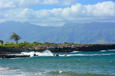 DT Fleming Sahili, Maui 'nin kuzeybatısındaki Kapalua bölgesinde. Güzel kumlu sahil, yumuşak dalgalar ve mükemmel yüzme. Suyun karşısındaki Molokai manzarası, gölgeli park, tuvaletler ve piknik masaları. Ayrıca bir sahil lokantası ve bar..