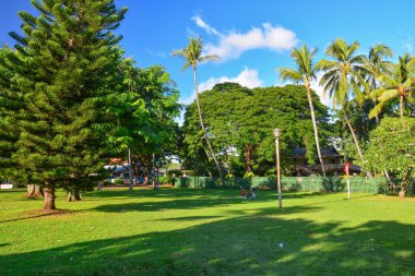 Hawaii Adaları 'ndaki tarihi balina kasabası Lahaina, Maui. Adaya gelen turistler için çok popüler bir yer..
