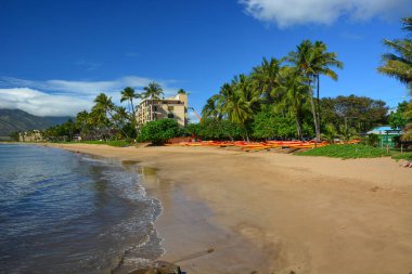 Hawaii, Maui 'deki güzel kumlu Kihei Sahili' nde hafif dalgalar.