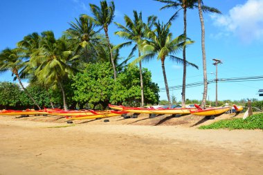 Avara Demiri kanoları Kihei, Maui, Hawaii adalarında yığılmıştı..