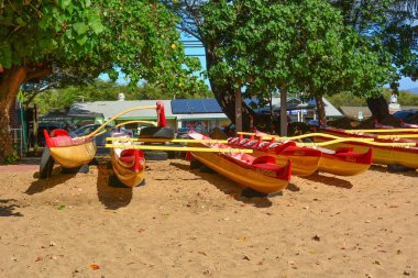Avara Demiri kanoları Maui, Hawaii Adaları 'nda sahile yanaştı.