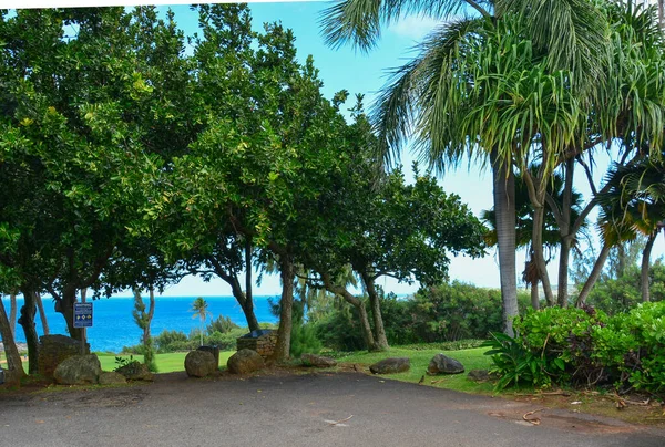 Maui Tatil Hawaii Adaları — Stok fotoğraf