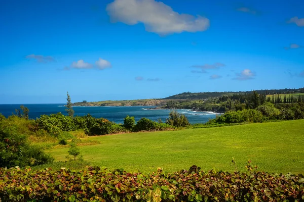 Golf Course Popular Kapalua Maui Hawaiian Islands Stunning Views All — Stock Photo, Image