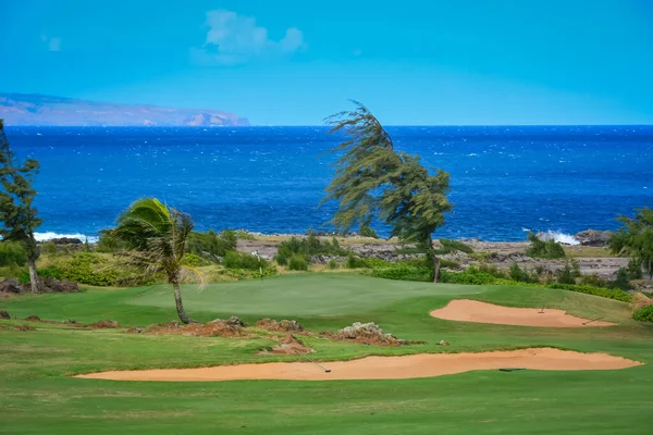 Kapalua Maui Hawaii Adaları Nda Golf Sahası Güzel Hawaii Golf — Stok fotoğraf