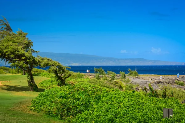 Urlaub Auf Maui Hawaii — Stockfoto