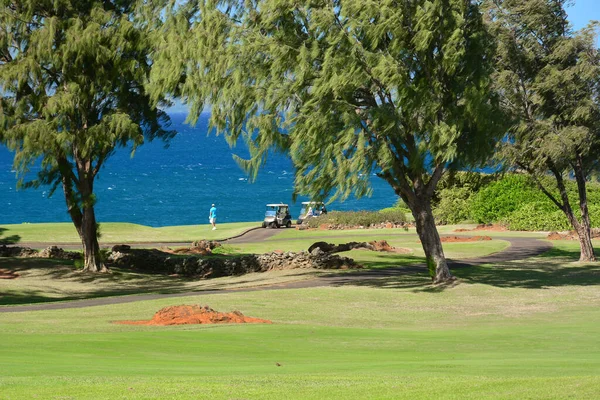 Pole Golfowe Popularnych Kapalua Maui Wyspy Hawajskie Wspaniałe Widoki Wszystkich — Zdjęcie stockowe