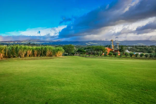 Distilleria Ocean Organic Vodka Nelle Zone Montane Maui Hawaii Rinomata — Foto Stock