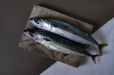 Güzel fotoğrafçılık. Yaban domuzu kesen iki balık, beyaz ve gri arka plan. 