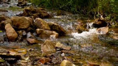 Dağ nehrinin suyu hızla taşlardan aşağı akıyor. Vahşi doğa, akan nehir, dağ manzarası, huzur, rahatlama, vahşi doğada dinlenme..