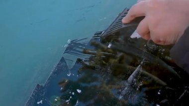 Kazı kazanı olan bir el arabanın camından buzu kazır. Kış havası, ilk buzlar. Araç bakımı. Camda kar ve buz var. Park halindeki araçları fırçayla temizlemek.