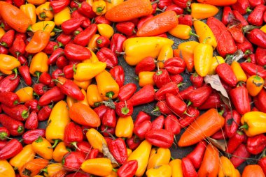 La Antigua Guatemala 'daki geleneksel Paskalya halısını detaylandır, Katolik geleneği..