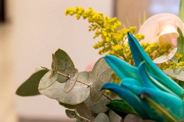 Mavi Lily, Latin Amerika 'daki tropikal ziyafet otel masasının çiçek aranjmanı..