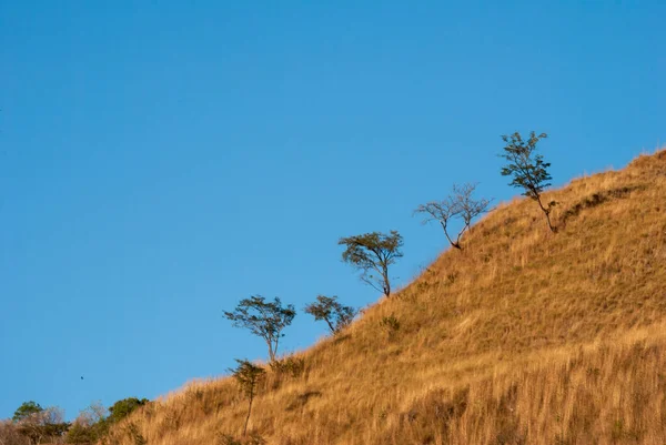 Montagna Coperta Erba Secca Deforestazione Guatemala Tramonto Colorato — Foto Stock