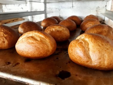 Amerikan Latin pastanesinde taze ve taze pişmiş kek..