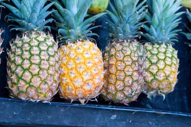 Guatemala 'da satılık taze ananas, Ananas comosus.