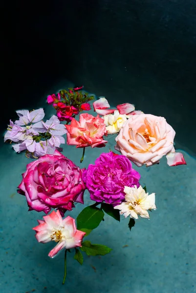 Rose Galleggianti Nell Acqua Riflesso Movimento Naturale Colore Serbatoio Acqua — Foto Stock