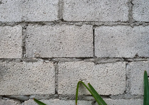 Texture Concrete Block Rustic Wall Central America — Stock Photo, Image