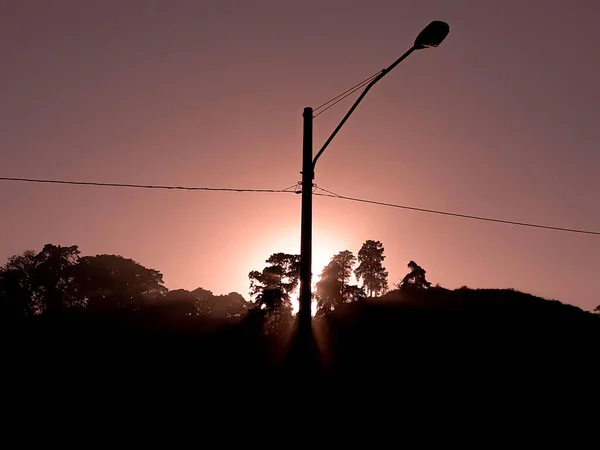 Silhouette of trees and public lighting post at sunrise in Guatemala City, Latin America.