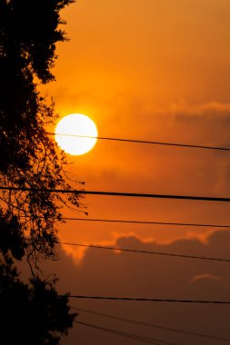 Siluet ağacı ve yüksek voltaj kabloları gün batımında, Guatemala 'da gün batımında