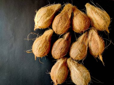 Sıraya dizilmiş on soyulmamış hindistan cevizi. Siyah arka planda izole edilmiş..