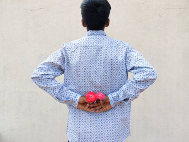 Sırtında pembe bir gül tutan Güney Hindistanlı adam. İki eliyle. Beyaz arkaplanda izole.