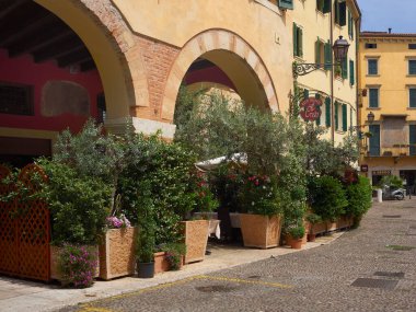 Verona, Veneto, İtalya 'da bir restoranın etrafındaki yeşil yapraklı saksılar sokakta geçen insanlardan masalara mahremiyet sağlıyor.