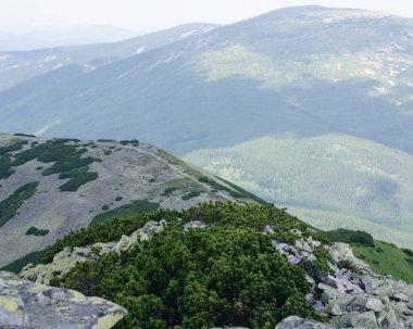 Zirvedeki yüksek dağlara tırmanmak