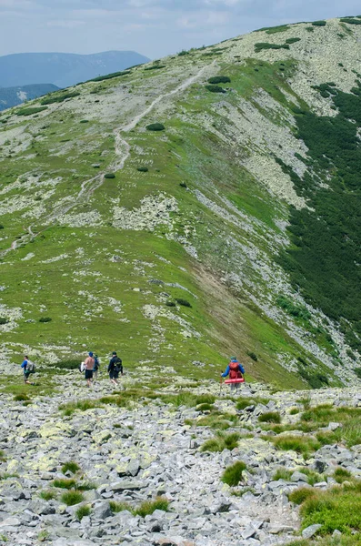 Zirvedeki yüksek dağlara tırmanmak