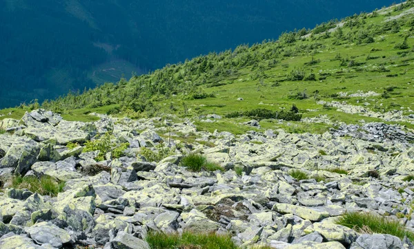 Zirvedeki yüksek dağlara tırmanmak