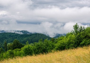 Yağmurdan sonra güzel dağ manzarası