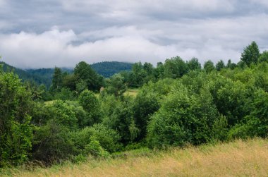 Yağmurdan sonra güzel dağ manzarası