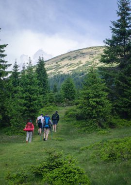 Turistlerle dolu güzel yeşil orman dağı manzarası