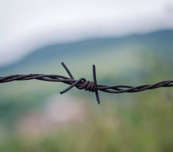 Metal ağ çiti, koruma, arkaplan