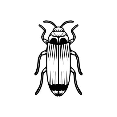 Siyah ve beyaz böcek çizgisi sanat vektör çizimi. Karmaşık çizgili sanat tasarımı olan böceğin çizimi.
