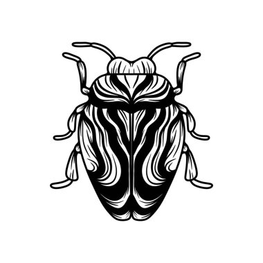 Siyah ve beyaz böcek çizgisi sanat vektör çizimi. Karmaşık çizgili sanat tasarımı olan böceğin çizimi.