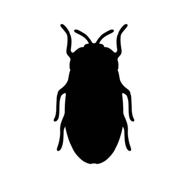 Bir vektör böceğin siyah siluet görüntüsü. Siyah böcek illüstrasyon böceği siyah ve beyaz
