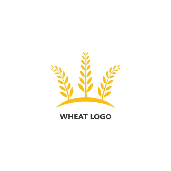 Agricultura Trigo Logotipo Plantilla Vector Icono Diseño — Archivo Imágenes Vectoriales