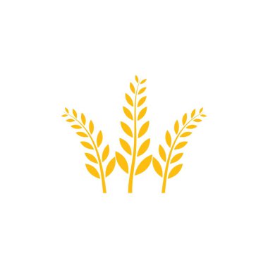 Tarım buğday logosu vektör ikonu tasarımı