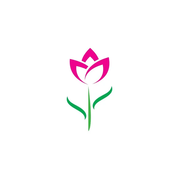 Belleza Vector Tulipán Flores Diseño Logo Plantilla Icono Vector — Vector de stock