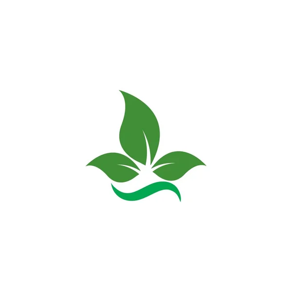Eko Ağacı Yaprak Logosu Şablonu Tasarımı — Stok Vektör