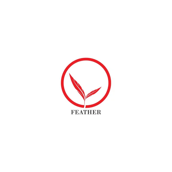 Plantilla Logotipo Pluma Vector Icono Diseño — Vector de stock