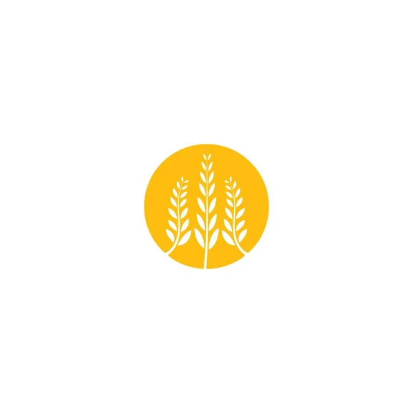 Agricultura Trigo Logotipo Plantilla Vector Icono Diseño — Archivo Imágenes Vectoriales